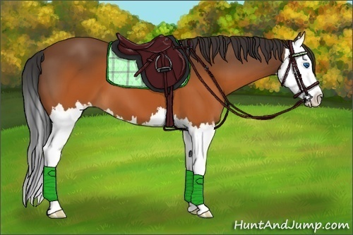 Horse Color:Brown Splash