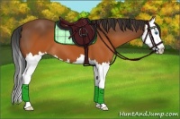 Horse Color:Brown Splash