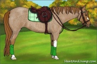 Horse Color:Red Roan 