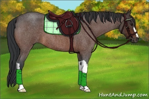 Horse Color:Bay Roan