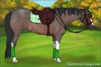 Horse Color:Bay Roan 