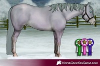 Horse Color:Buckskin Pearl 