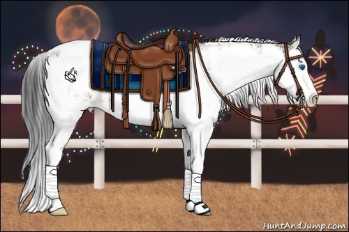 Horse Color:Bay Sabino Splash Appaloosa 