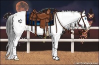 Horse Color:Bay Sabino Splash Appaloosa 