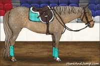 Horse Color:Chocolate Palomino Roan