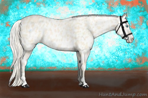 Horse Color:Cremello Appaloosa  and Cremello Appaloosa 