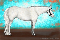 Horse Color:Cremello Appaloosa  and Cremello Appaloosa 