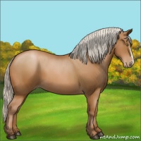 Horse Color:Silver Bay Pearl