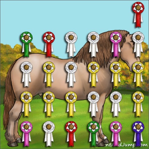 Horse Color:Bay Pearl 