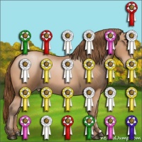 Horse Color:Bay Pearl 