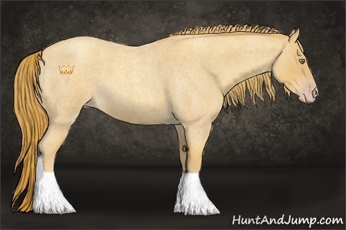 Horse Color:Gold Champagne Roan