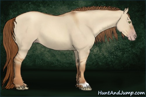 Horse Color:Gray Gold Champagne Dun 