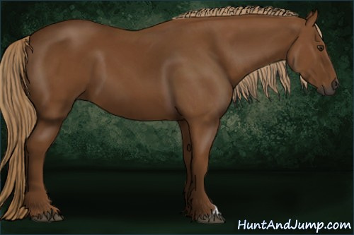 Horse Color:Gray Chestnut 