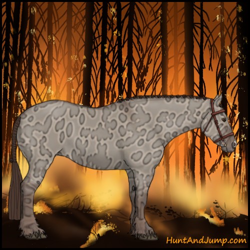 Horse Color:Liver Red Dun Ice 