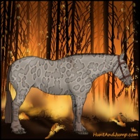 Horse Color:Liver Red Dun Ice