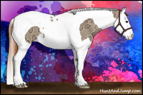 Horse Color:Red Dun Ice Splash Tobiano