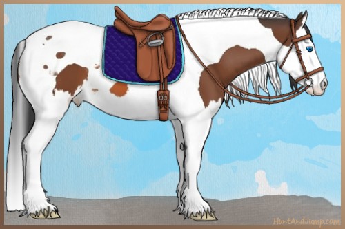 Horse Color:Bay Splash Tobiano 