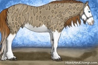 Horse Color:Red Dun Ice Splash