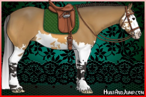 Horse Color:Buckskin Splash 