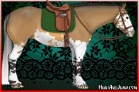 Horse Color:Buckskin Splash 