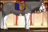 Horse Color:Grullo Splash 