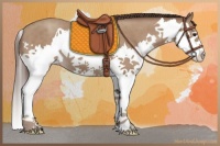 Horse Color:Classic Champagne Splash 