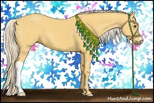 Horse Color:Palomino 