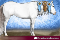 Horse Color:Liver Chestnut Ice Appaloosa 