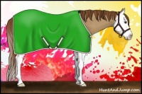 Horse Color:Red Dun Splash
