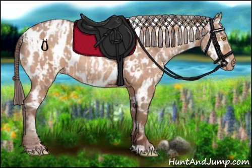Horse Color:Unknown 