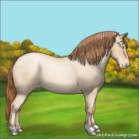 Horse Color:Sable Champagne Roan Pearl Varnish 