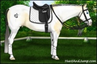 Horse Color:White Spotted Buckskin Dun Splash Tobiano Rabicano