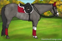 Horse Color:Grullo Rabicano 