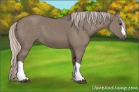 Horse Color:Silver Grullo 