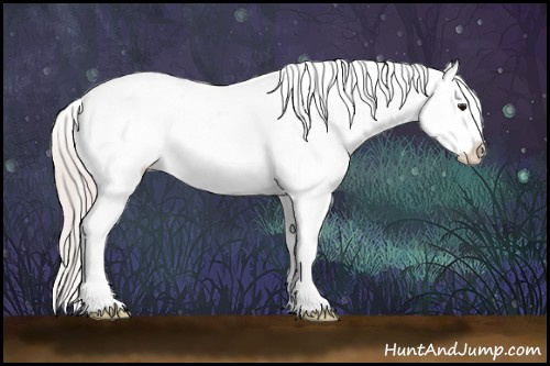 Horse Color:White Spotted Silver Brown Roan Dun Splash Frame Appaloosa