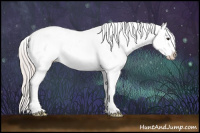 Horse Color:White Spotted Silver Brown Roan Dun Splash Frame Blanket