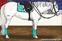 Horse Color:Cremello Sabino Blanket 