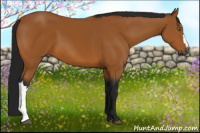 Horse Color:Gray Bay 