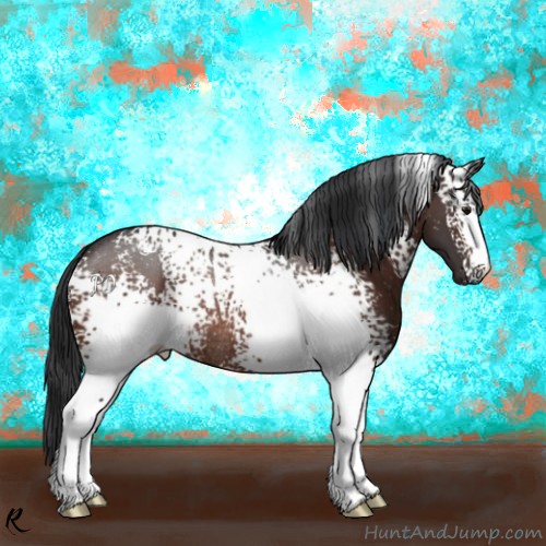 Horse Color:White Spotted Bay Rabicano 