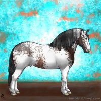 Horse Color:White Spotted Bay Rabicano