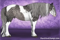 Horse Color:Platinum Chocolate Palomino Splash Tobiano 