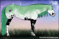 Horse Color:Watercolor White Spotted Grullo Rabicano 