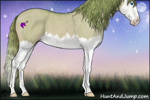 Horse Color:Watercolor Red Dun Splash