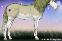 Horse Color:Watercolor Red Dun Splash