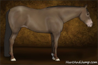 Horse Color:Gray Classic Champagne 