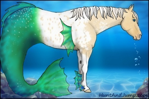 Horse Color:Silver Classic Champagne Roan Dun Splash Tobiano Frame Appaloosa Rabicano 