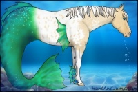 Horse Color:Silver Classic Champagne Roan Dun Splash Tobiano Frame Appaloosa Rabicano 