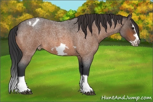 Horse Color:Brown Roan Splash Frame Blanket 