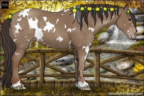 Horse Color:White Spotted Classic Champagne Rabicano 