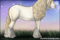 Horse Color:Buckskin Roan Pearl  and Buckskin Roan Pearl Frame 